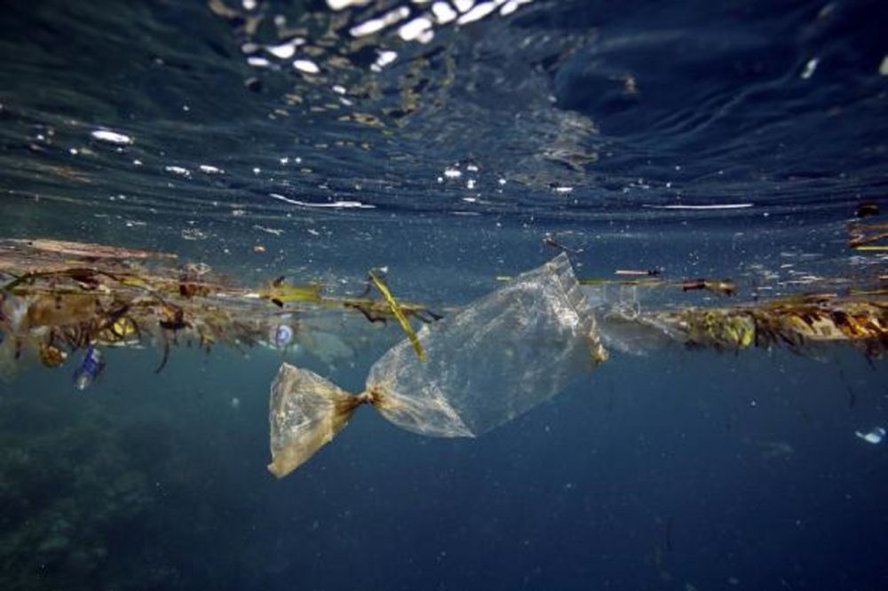 Langkah Pemerintah Kurangi Sampah Di Lautan Indonesia