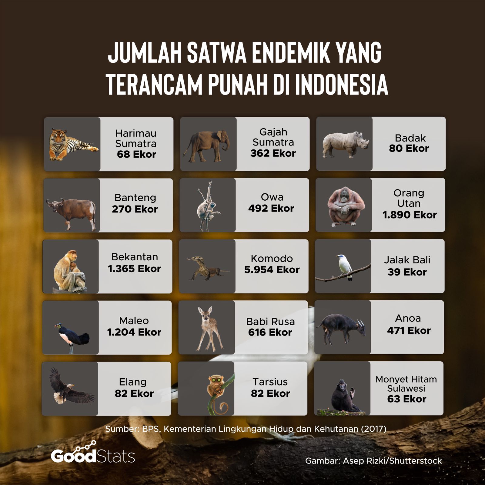 10 Daftar Hewan Terancam Punah Di Indonesia Dan Keter