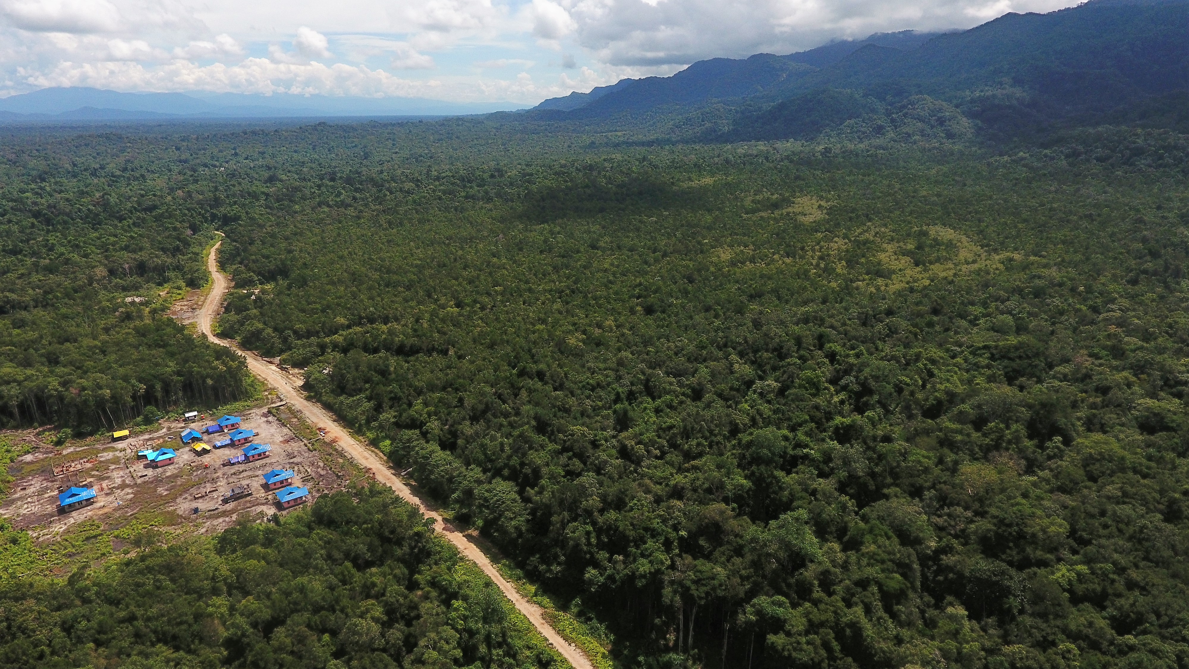 Inilah 5 Daerah dengan Hutan Terluas di Indonesia